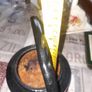 Lovely Old Cast Iron Kettle Measurments in the photos, Image 5