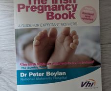The Irish Pregnancy Book