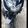 bandit 650 Image 2