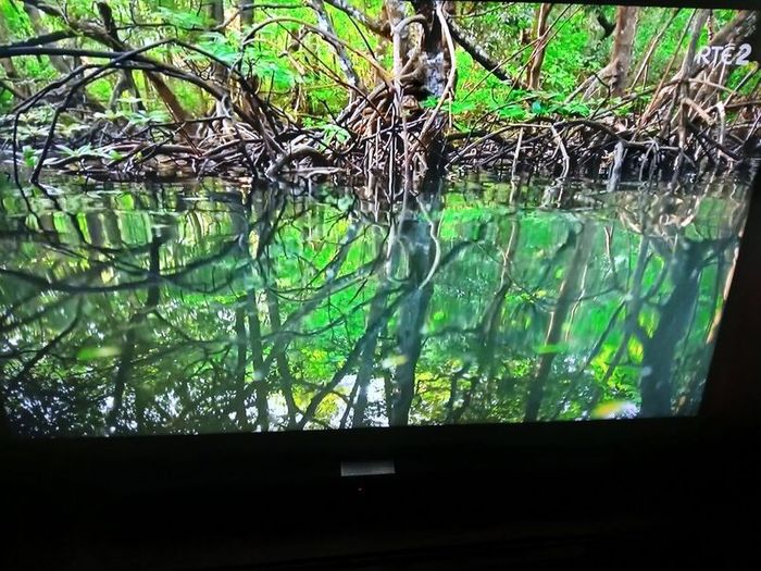 Samsung 40 inch smart hdmi tv.