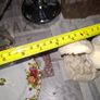 Up for sale is a Vintage Majestic White Eagle figurine Sculpture. Beautifully Powerful Talons Image 7