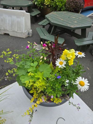 XL flower pot