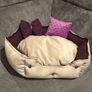 pet Image 2