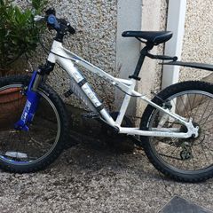 carrerra kids 20 inch mountain bike