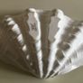 China -  Large Wedgewood Shell. Image 4