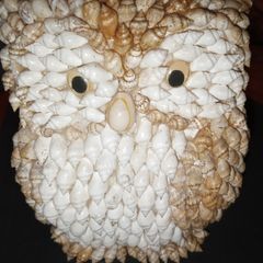 Vintage Seashell Art