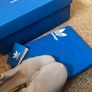 Balenciaga & Adidas speed Image 4