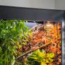 Viperia enclosure Image 2