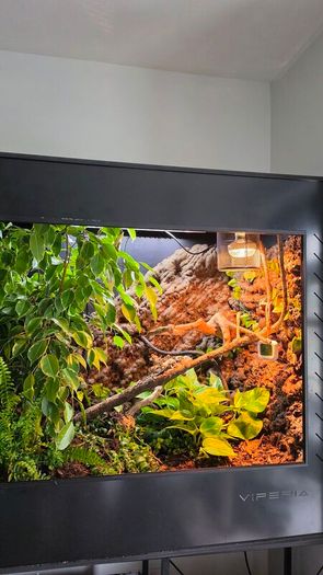Viperia enclosure