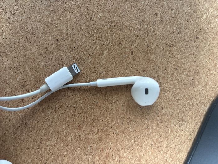 Apple Wired Earphones - Lightning Connector x 2