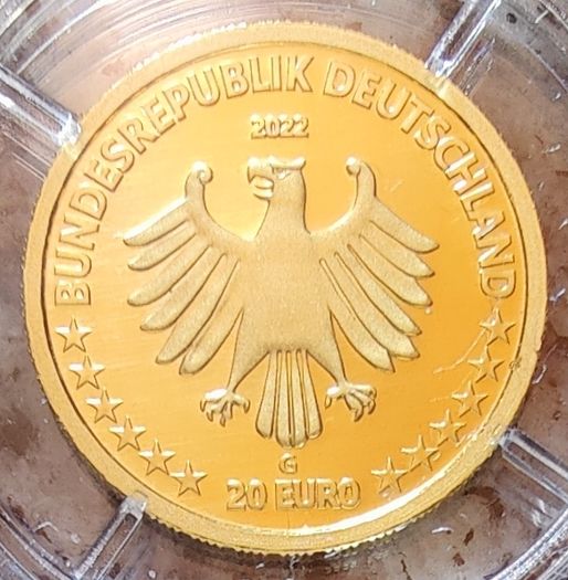 Germany 20 Euro Gold (.9999) Uncirculated Coin 2022 - Grey Seal - Return of Wildlife