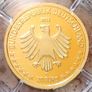 Germany 20 Euro Gold (.9999) Uncirculated Coin 2022 - Grey Seal - Return of Wildlife Image 2