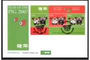 2007 Ireland Chinese New Year Year of the Pig Miniature Sheet An Post First Day Cover (FDC)