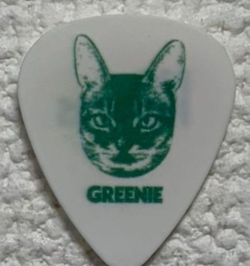 Chris shiflett guitar pick