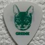 Chris shiflett guitar pick Image 2