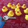 Small yellow ducks Image 2