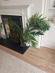 Faux Plant