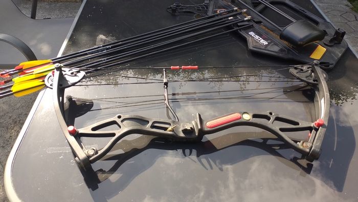 Compound Bow Archery 25'' Like New, 10 Arrows