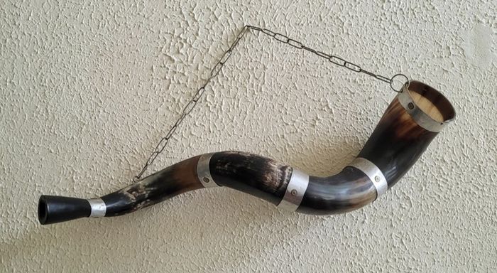 Vintage decorative horn