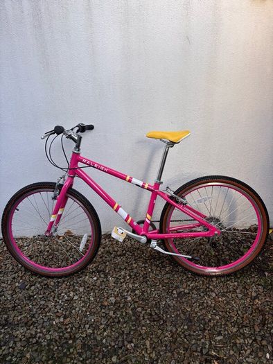 Raleigh Pop 24 - kids bike