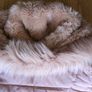 ladies coat Image 7