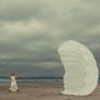The T-10 parachute Image 2