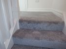 Carpet Image 7