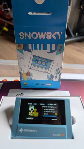 Snowsky Echo Mini HiFi MP3/FLAC Player Hi-Res Portable Music Player