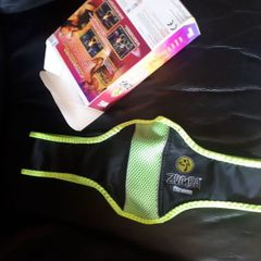 zumba fitness wii