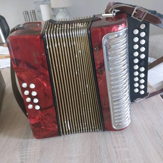 Hohner Black dot Accordian