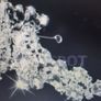 Bride's Designer Crystal Head Piece Image 3