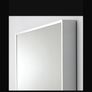 Mirror Image 2