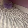 Loft bed with dressing table, drawers, wardrobe, bookshelf and bed Image 6