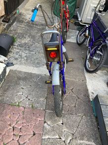 raleigh chopper