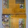 Leinster vs Wasps matchday programme Image 4