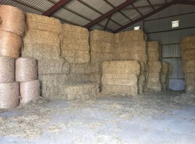 Straw for sale