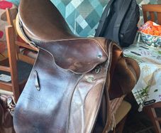 17.5 inch Steuben Jump Saddle