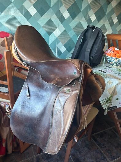 17.5 inch Steuben Jump Saddle