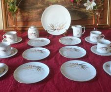 21 Piece Winterling Bavaria Harvest Gold Gilt Porcelain Tea Set Made In Germany