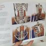 Key Muscles of Yoga by Ray Long Image 3