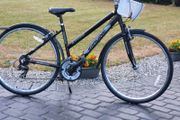 Ladies Bike N Basket Good Condition No Offers