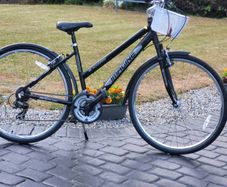 Ladies Bike N Basket Good Condition No Offers