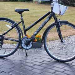 Ladies Bike N Basket Good Condition No Offers