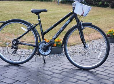 Ladies Bike N Basket Good Condition No Offers