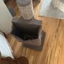 cat scratch post Image 5