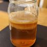 Kombucha Scooby Image 2