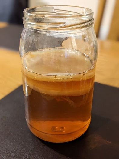 Kombucha Scooby