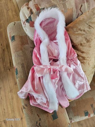 princess costume