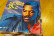 Collection Of Vinyl Records / Lps - 80's Solo Artists