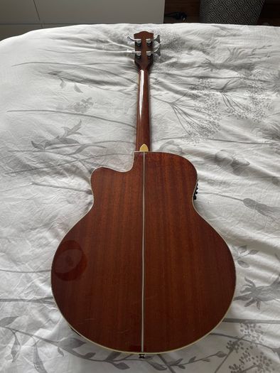 Richwood Artist Series Acoustic Bass Guitar